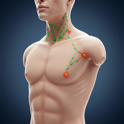 Wo sind Lymphknoten? Ein umfassender Wegweiser zu den Wächtern unseres Körpers